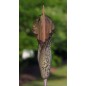 Amorphophallus Tenuistylis - 10 graines Amorphophallus Tenuistylis - 10 graines
